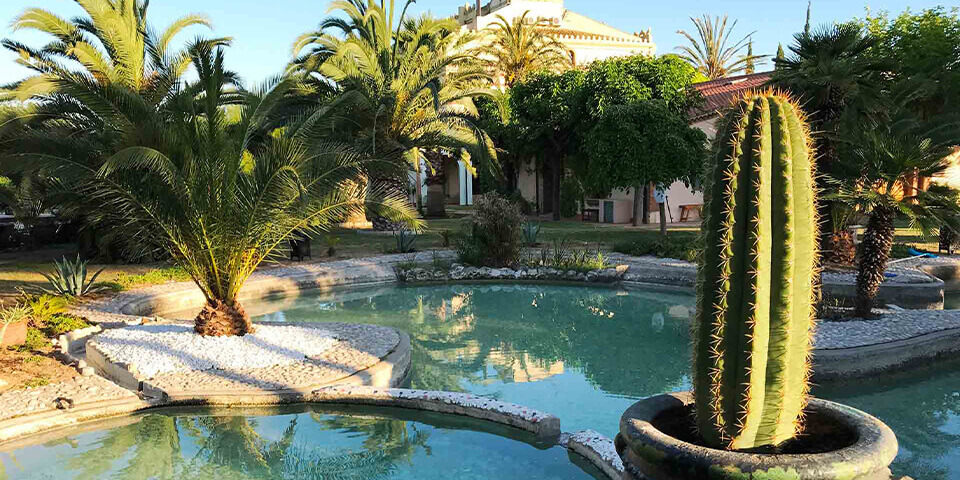Large property outside Barcelona with swimming pool and cactus